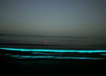 Fenomen spectaculos pe litoral: Apa mării a devenit strălucitoare, datorită bioluminiscenței