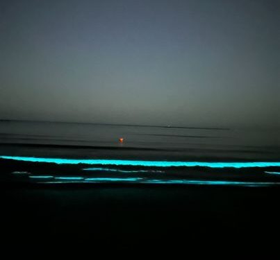 Fenomen spectaculos pe litoral: Apa mării a devenit strălucitoare, datorită bioluminiscenței
