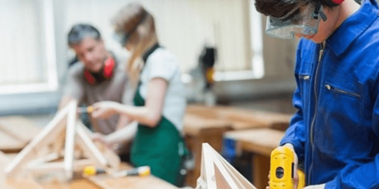 Număr record de elevi care au optat pentru învățământul dual în acest an de studii. Cifrele prezentate de MEC