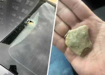 Атаки с неба: Птицы повредили десятки автомобилей, закидав их камнями с 22-го этажа жилого дома