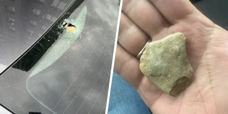 Атаки с неба: Птицы повредили десятки автомобилей, закидав их камнями с 22-го этажа жилого дома