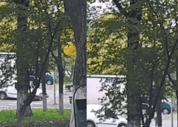 A scăpat ca prin urechea acului: Momentul în care un bărbat a vrut să treacă la fugă pe zebră, dar s-a împiedicat şi a căzut chiar sub roțile unei mașini