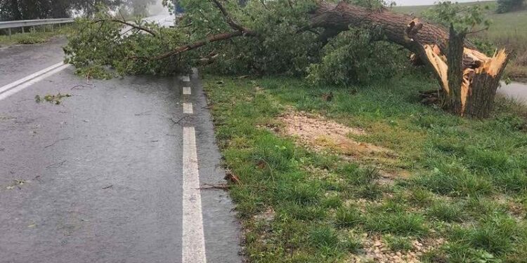 Dezastru pe drumurile din țară, după ploile abundente de aseară: Circulația, afectată de copaci căzuți, noroi și inundații