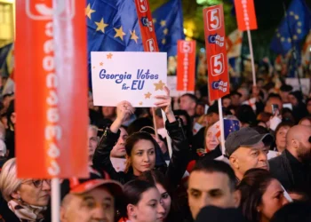 В Грузии готовятся к парламентским выборам с оглядкой на нашу страну: «Мы все следили за выборами в Молдавии, и ни один тест на демократию не был сдан.