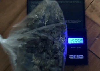 Grupare specializată în comercializarea drogurilor prin intermediul magazinelor online, destructurată de ofițerii INI