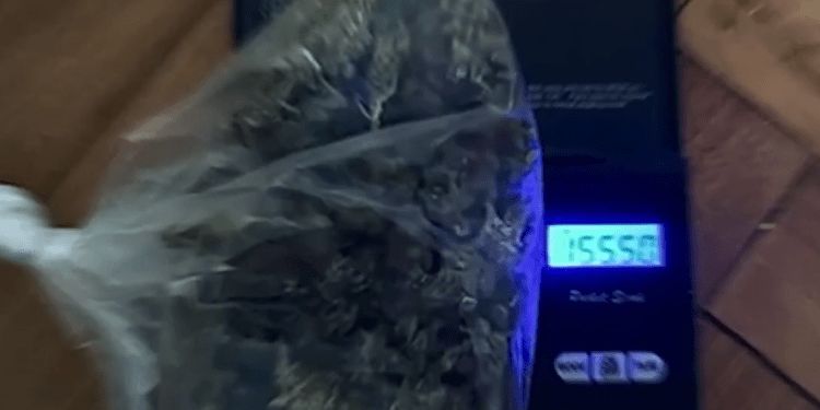 Grupare specializată în comercializarea drogurilor prin intermediul magazinelor online, destructurată de ofițerii INI