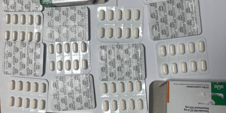 O femeie cu dublă cetățenie, depistată cu pastile psihotrope la frontiera „Otaci-Moghilev-Podolsk”