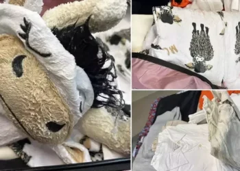 Bărbat prins la aeroportul din Los Angeles cu pijamale îmbibate în metamfetamină: 13 kg de droguri descoperite