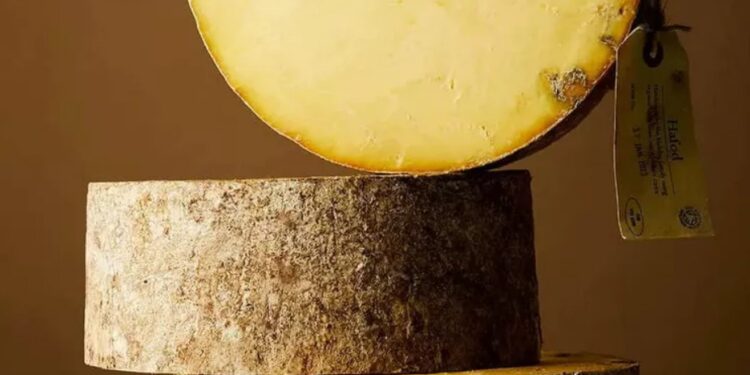 В Британии арестовали мужчину, которого подозревают в краже сыра на £300 тысяч