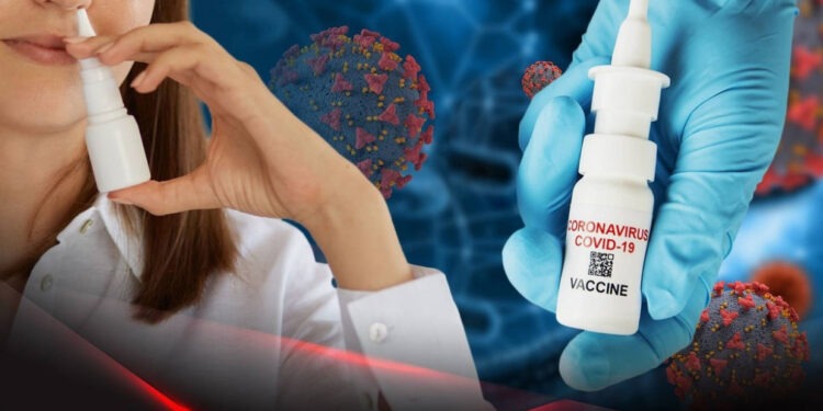 Создана новая нановакцина против COVID-19