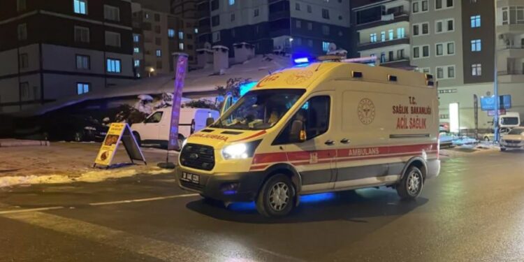 В Турции слепленный детьми снеговик спровоцировал нервный срыв у прохожей: что произошло