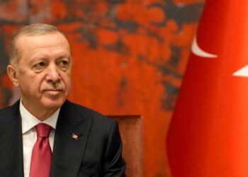 Эрдоган подготовил план замораживания войны в Украине