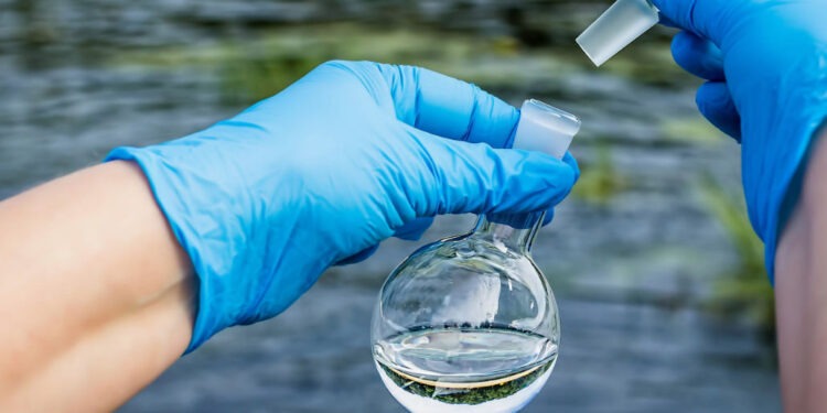 В Польше призывают прививаться от полиомиелита: вирус обнаружили в сточных водах