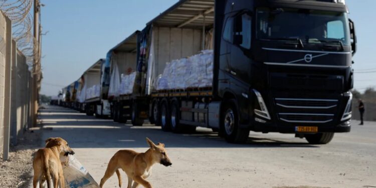 В секторе Газа разграбили колонну из 100 грузовиков с гуманитарной помощью