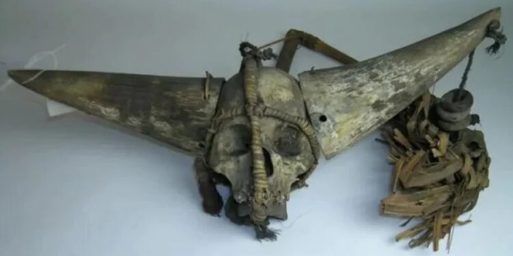 Индейские племена заставили отменить аукцион в Британии, где хотели продать черепа их предков