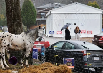 Какие ключевые штаты Трамп отобрал у демократов. Инфографика