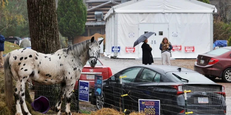 Какие ключевые штаты Трамп отобрал у демократов. Инфографика