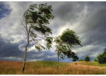 Avertizare meteo: Vânt intens în Moldova – Sfaturi utile pentru cetățeni