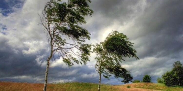 Avertizare meteo: Vânt intens în Moldova – Sfaturi utile pentru cetățeni