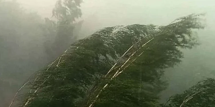 В Молдове ожидаются сильные ветра