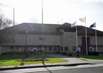 Deținuții din Marea Britanie, afectați de invazia păianjenilor veninoși și a șobolanilor