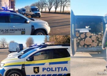 Prins la Leova: un șofer transporta 3 m³ de lemn fără acte, într-un microbuz supraaglomerat