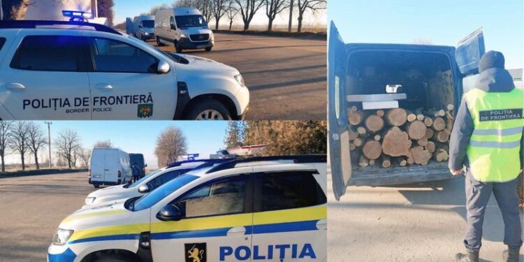 Prins la Leova: un șofer transporta 3 m³ de lemn fără acte, într-un microbuz supraaglomerat