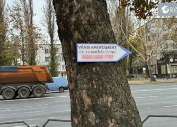 Arbore vandalizat cu un anunț, cititorii denunță atitudinea iresponsabilă față de mediu
