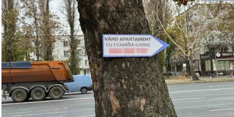 Arbore vandalizat cu un anunț, cititorii denunță atitudinea iresponsabilă față de mediu