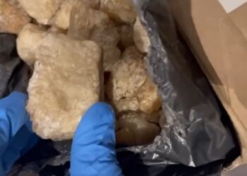 15 kg de droguri ascunse în nisip pentru pisici: Un israelian, condamnat în Moldova