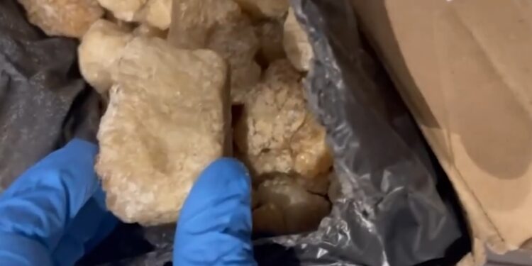 15 kg de droguri ascunse în nisip pentru pisici: Un israelian, condamnat în Moldova