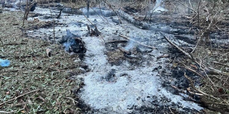 Ministerul Apărării României reacționează la alertele cu drone în Tulcea: F-16-uri în zbor, fără pătrundere detectată în spațiul aerian