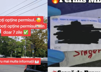 Permise de conducere false vândute pe TikTok: Prețuri de până la 1200 de euro și livrare în toată Europa