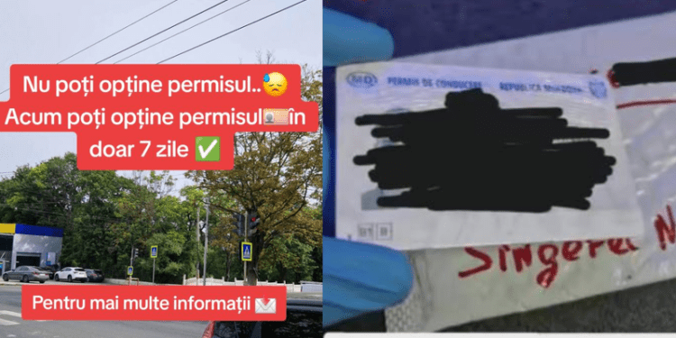 Permise de conducere false vândute pe TikTok: Prețuri de până la 1200 de euro și livrare în toată Europa