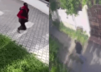 Un bărbat a smuls lanțul de aur de la gâtul unei femei și a fugit spre amanet, dar nu a mai ajuns: Pe drum s-a întâlnit cu polițiștii