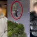 Furt în plină zi, în sectorul Botanica: O femeie rămâne fără telefon și portmoneu
