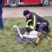 În raionul Telenești a fost salvată o lebădă care nu putea să iasă singură din apă.