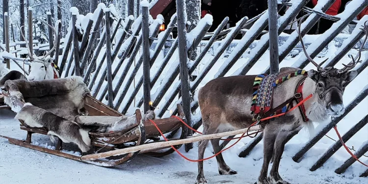 Laponia fără zăpadă: Record istoric de încălzire în Ținutul lui Moș Crăciun