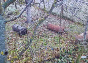 Intervenție de urgență la Vadul lui Vodă: Pompierii au salvat o casă și 16 iepuri