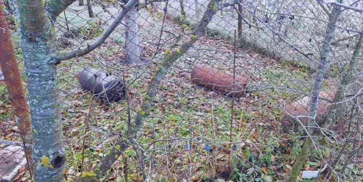 Intervenție de urgență la Vadul lui Vodă: Pompierii au salvat o casă și 16 iepuri