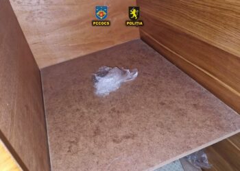 Soroca: Droguri în valoare de 100.000 de lei confiscate, trei bărbați arestați