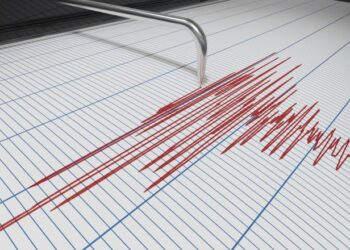 În dimineața zilei de 24 noiembrie 2024 un cutremur s-a produs în zona seismică Vrancea