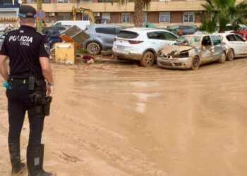 Пострадавшая от наводнений часть Испании теперь борется с нашествием крыс