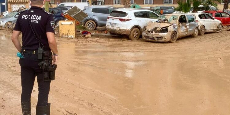 Пострадавшая от наводнений часть Испании теперь борется с нашествием крыс