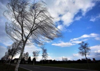 Avertizare Meteorologică: Vânt Puternic în Perioada 21-23 Noiembrie 2024