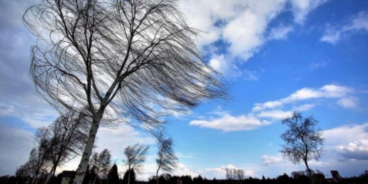 Avertizare Meteorologică: Vânt Puternic în Perioada 21-23 Noiembrie 2024