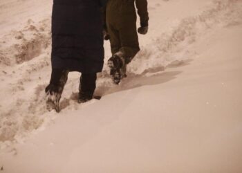 На Балканах десятки тысяч домов остались без электричества из-за сильного снега и ветра