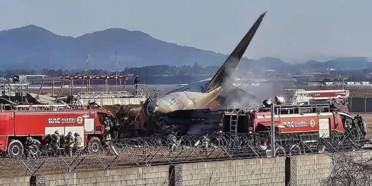 В авиакатастрофе в Южной Корее выжили двое бортпроводников: у них травмы и переломы