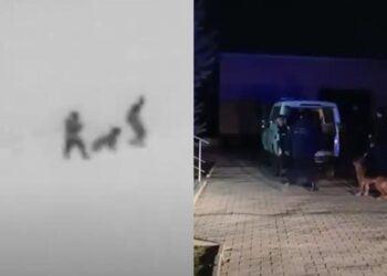 За 4000 долларов обеспечивали транзит украинцев через Республику Молдова