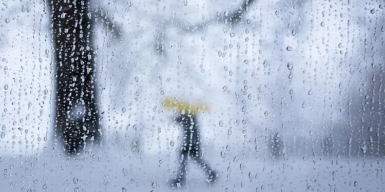 Европа мерзнет, планета нагревается. 2024 год побьет климатический антирекорд, и не один